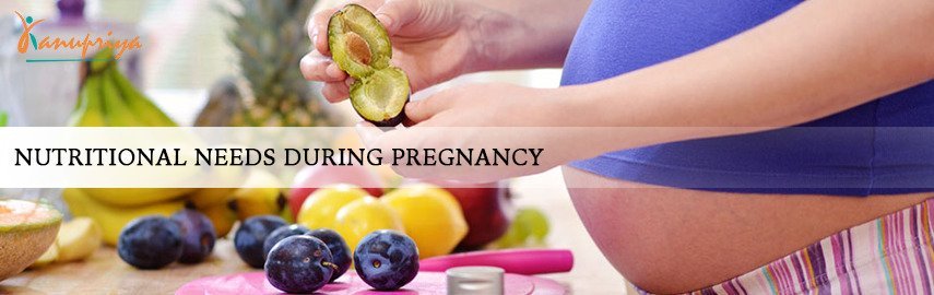 Pregnancy Nutrition Plan