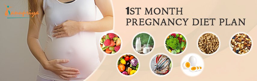 Pregnancy Food Chart For First Month